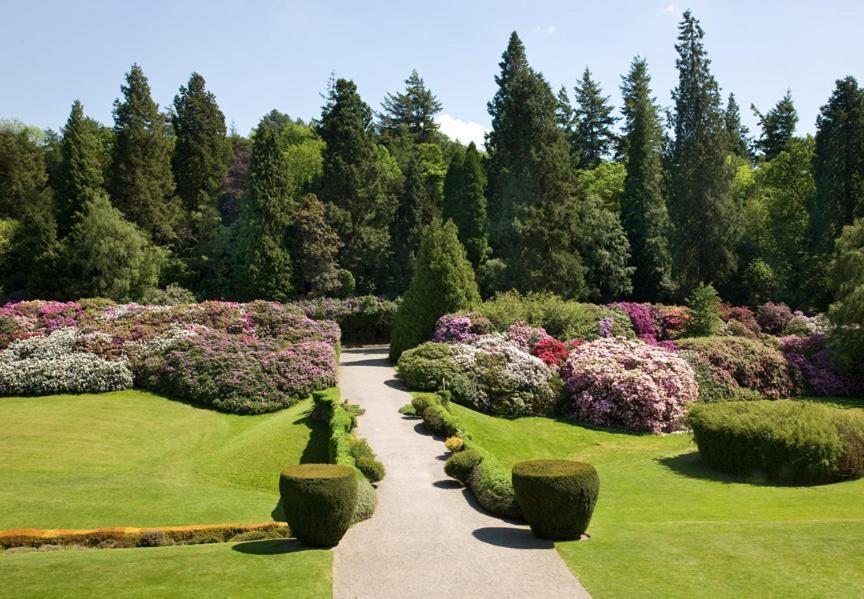 Гостьовий будинок Gregynog Hall Tregynon Екстер'єр фото